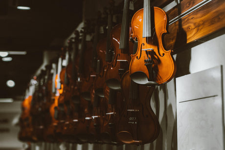 Welke strijkinstrumenten zijn er?