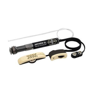 acoustic guitar pickups