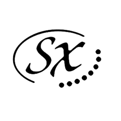 SX Guitars