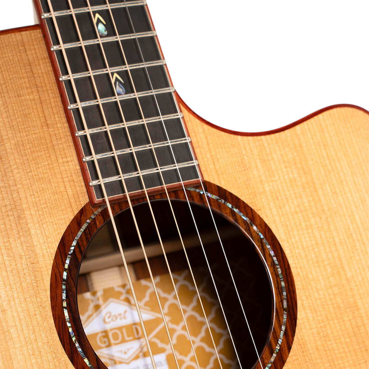 Cort Gold-A10 Cocobolo – Massief AAA Cocobolo, Torrefied Adirondack & Fishman Flex Blend