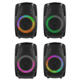Fenton FT8LED-MK2 Draagbaar geluidssysteem 8"