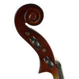 Leonardo LC-2010 cello set 1/10, geheel massief, nitro, ebben toebehoren, inclusief tas en strijkstok