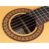 Salvador Cortez CS-60 – Klassieke gitaar met massief spruce bovenblad, palissander body en luxe gigbag