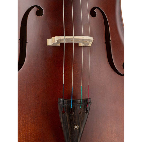 Leonardo LC-1334 cello 3/4, gelamineerd met gevlamde achterkant en zijkanten, ebbenhouten beslag, tas en strijkstok