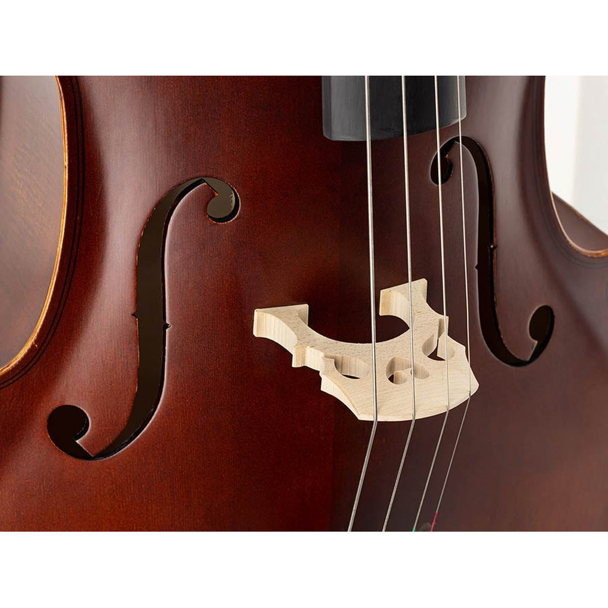Leonardo LC-1312 cello 1/2, laminated with flamed back & sides, ebony fittings, bag and bow