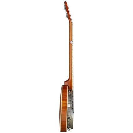 SX BJ565 5-Snarige Bluegrass Banjo 11 Inch Aluminium Rim met Remo Fiberskyn Vel en Gigbag