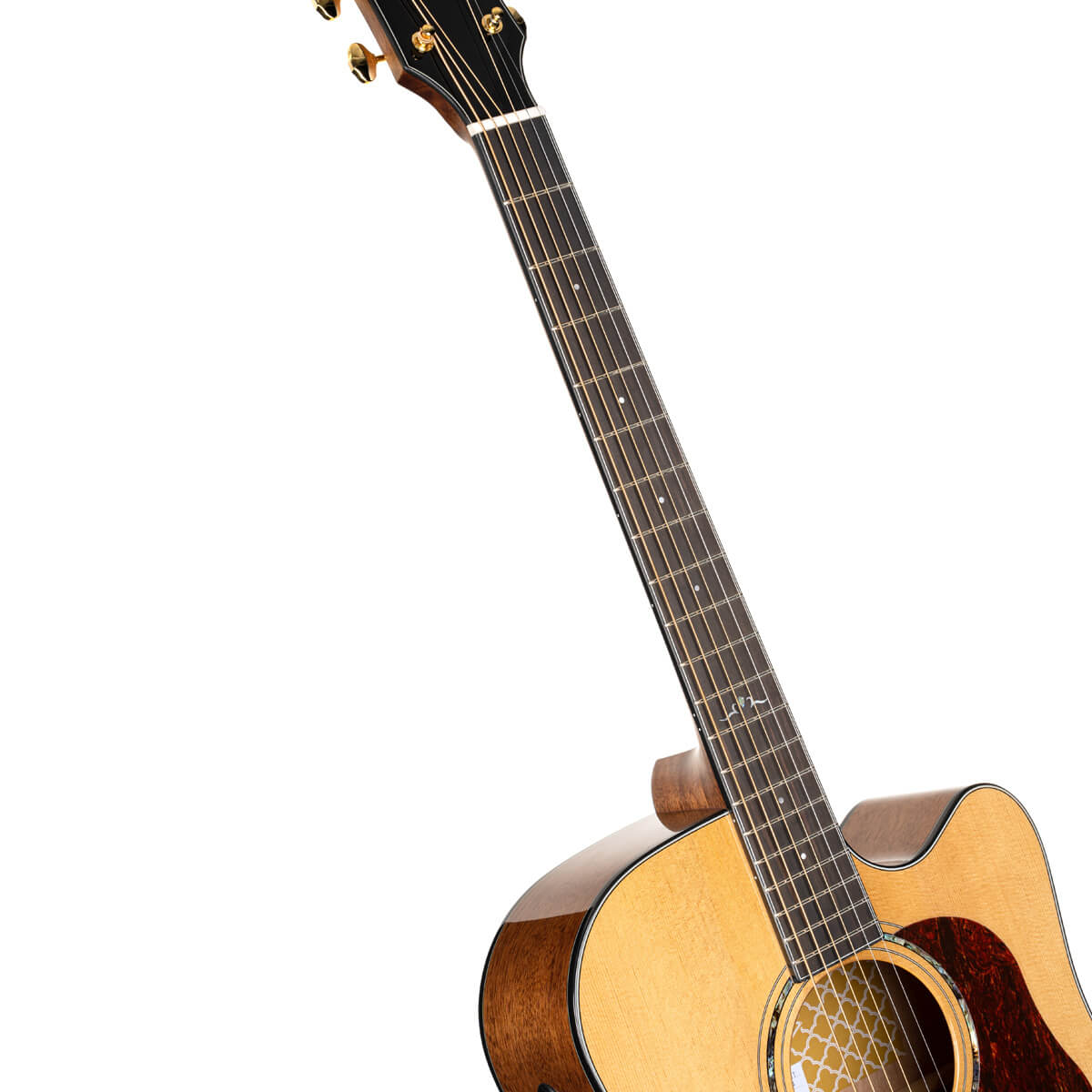 Cort Gold-DC6 – Massief Mahonie, Torrefied Sitka & Fishman Flex Blend
