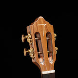 TOM 200 RM Tenor Ukelele met Massief Mahonie en Hoogglans Afwerking Inclusief Koffer