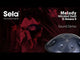 Sela SE 221 Nitrided Steel Handpan D Amara 440 Hz donkergrijs met gevoerde draagtas