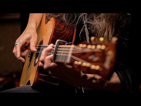 Cort Gold-A10 Cocobolo – Massief AAA Cocobolo, Torrefied Adirondack & Fishman Flex Blend