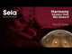 Sela SE 300 Stainless Steel Handpan Bb2 Amara 440 Hz goud handgemaakt met gevoerde draagtas