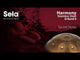 Sela SE 201 Stainless Steel Handpan D Kurd 440 Hz goud handgemaakt met gevoerde draagtas