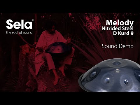 Sela SE 220 Nitrided Steel Handpan D Kurd 440 Hz donkerblauw met gevoerde draagtas